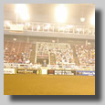 Debbie at the Mesquite Rodeo